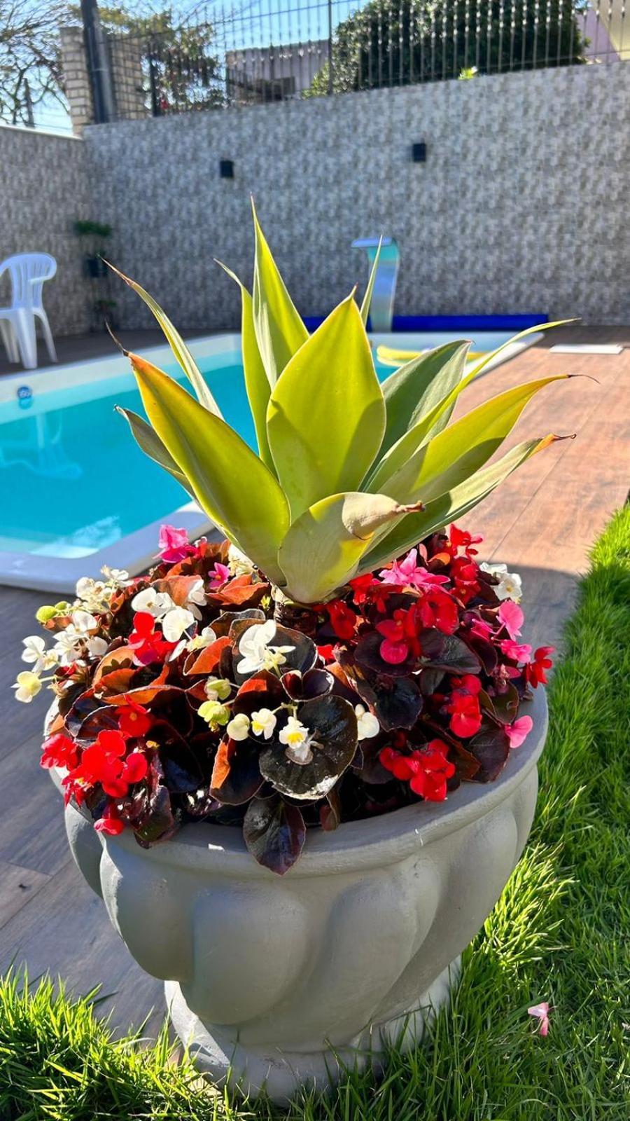 Casa Com Piscina Casaalbertibc Balneario Camboriu